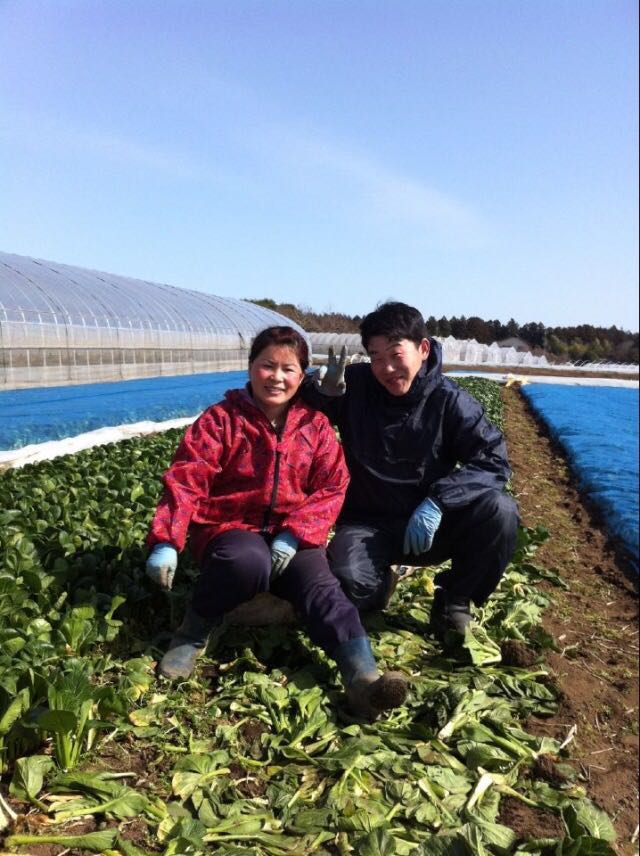 日本农业人员工作生活照片